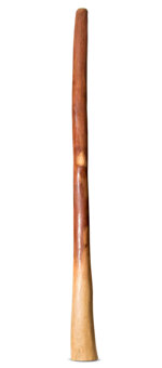 Earl Clements Bell Didgeridoo (EC383)